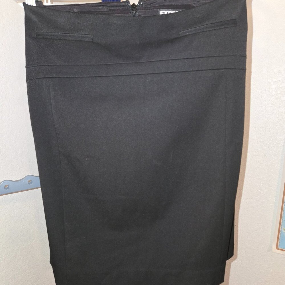 Express Size 4 Skirt